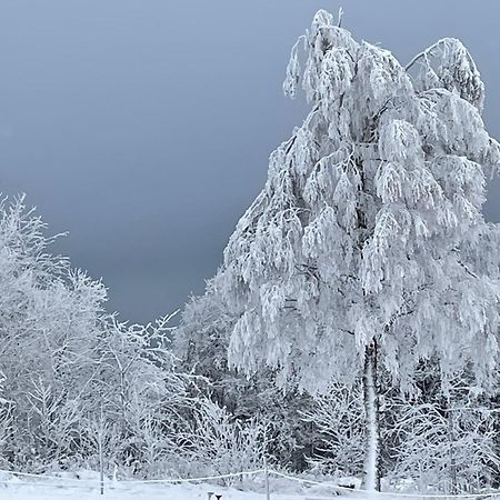 Apartment Heartbeat Winterberg Dış mekan fotoğraf