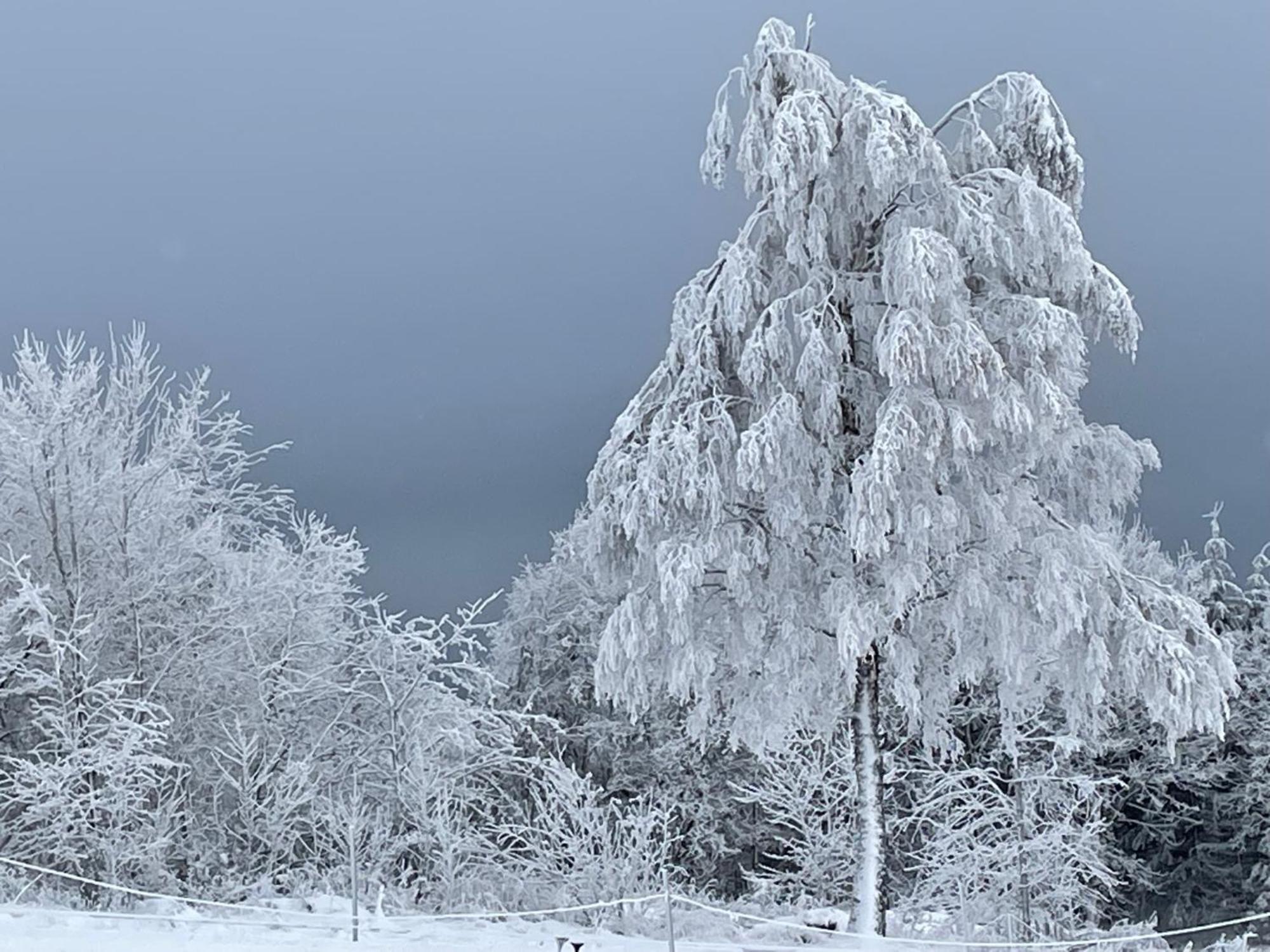 Apartment Heartbeat Winterberg Dış mekan fotoğraf