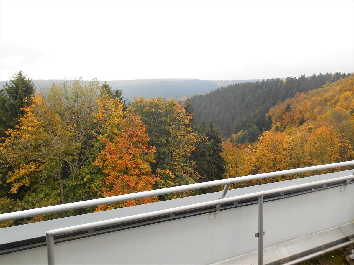 Apartment Heartbeat Winterberg Dış mekan fotoğraf