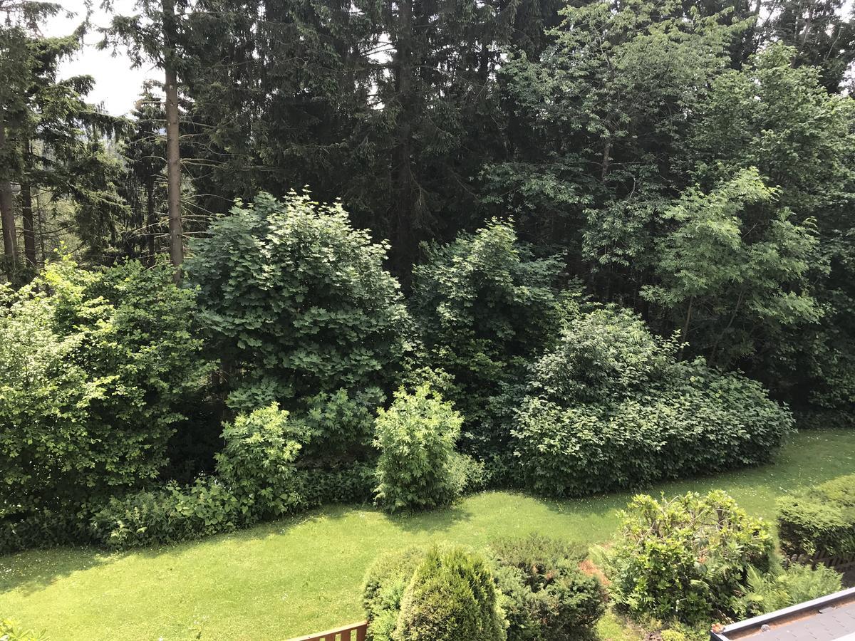 Apartment Heartbeat Winterberg Dış mekan fotoğraf